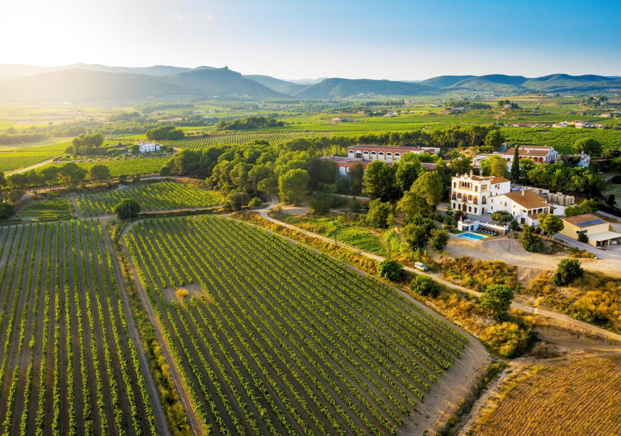 Bolet Casa Modernista Bed & Breakfast Castellvi de la Marca Екстериор снимка