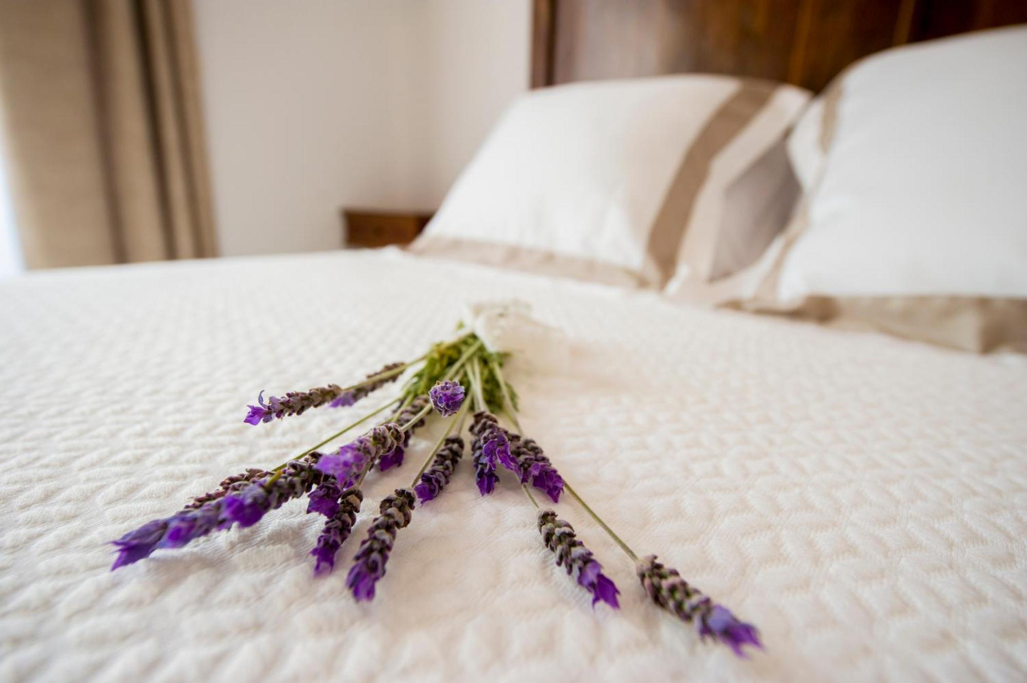 Bolet Casa Modernista Bed & Breakfast Castellvi de la Marca Екстериор снимка
